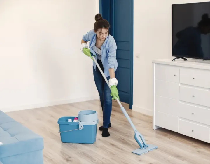 Femme de ménage Limeray